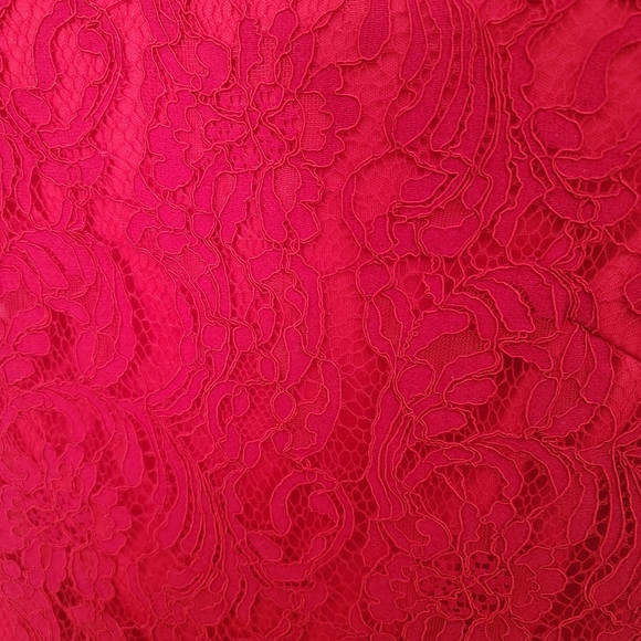 AX Paris Lace Midi Dress - Picture 5 of 5